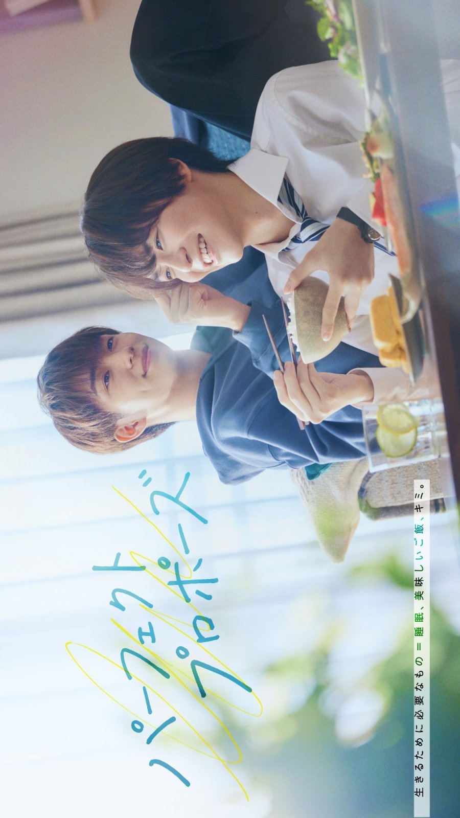 Идеальное предложение - постер